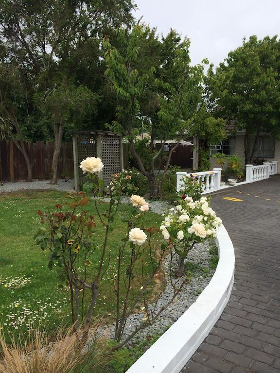 Ferry Motel Christchurch Bagian luar foto