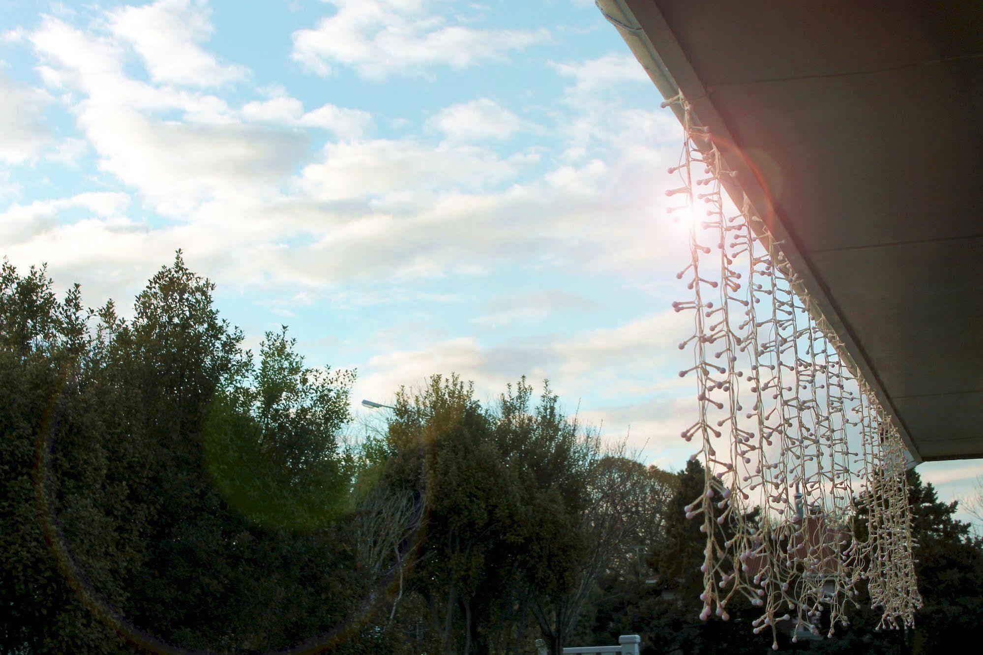 Ferry Motel Christchurch Bagian luar foto